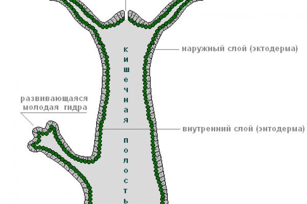 Кракен ссылка 2025