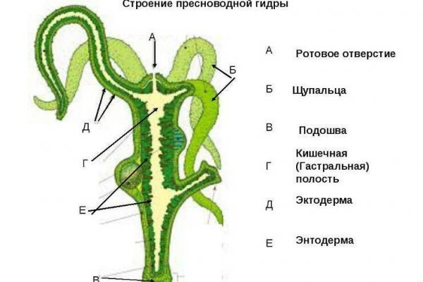 Как заказать на кракене