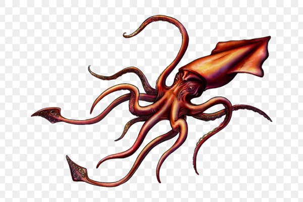 Kraken at зеркало