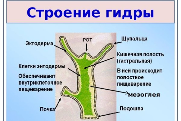 Кракен маркет что это такое