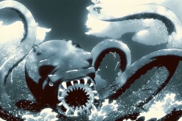 Kraken 17 at net