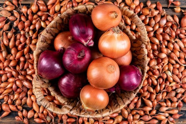 Сайты по продаже наркотиков